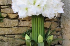 Composition Amaryllis en boule H 70 cm Ø 35