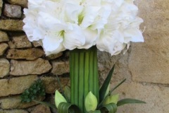 Bouquet Amaryllis blanc en boule H 70 cm Ø 35 cm
