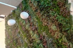Mur végétal d'illusion (plantes artificielles) printemps 2019