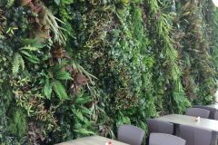 Mur végétal plantes artificielles à l'illusion parfaite